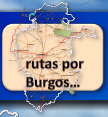 la_vid005019.jpg